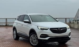 אופל גרנדלנד