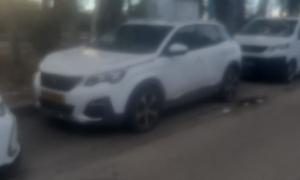פיג'ו 3008